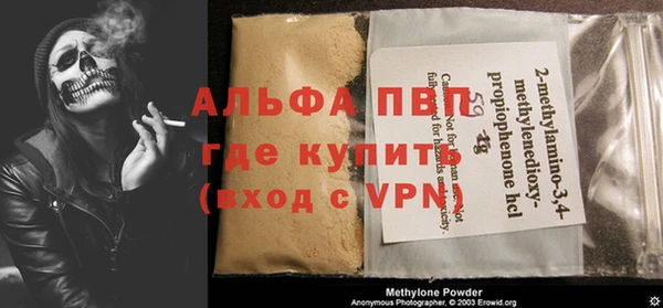индика Арсеньев