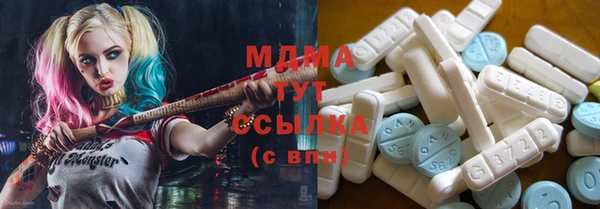 индика Арсеньев