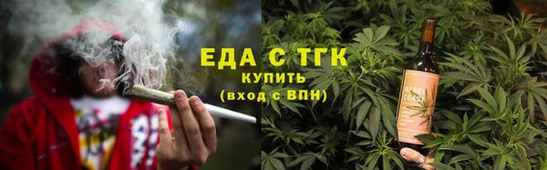 индика Арсеньев