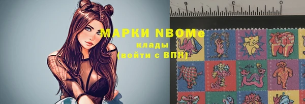 индика Арсеньев