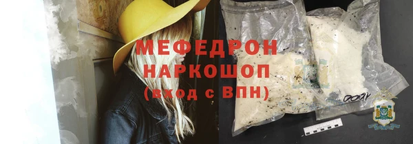 индика Арсеньев