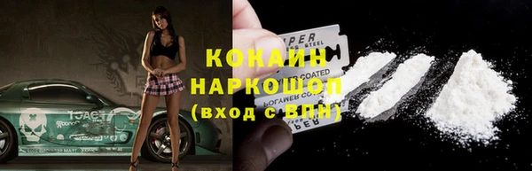 индика Арсеньев