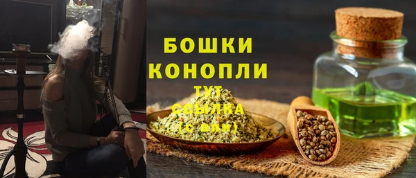 индика Арсеньев