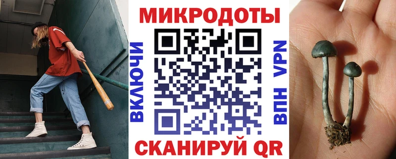 как найти наркотики  Старая Купавна  Галлюциногенные грибы Psilocybe 